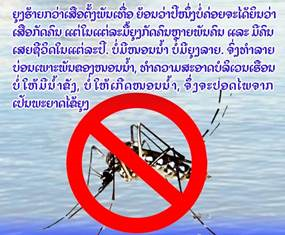 Laos Steps Up Preventive Measures to Curb Dengue Fever